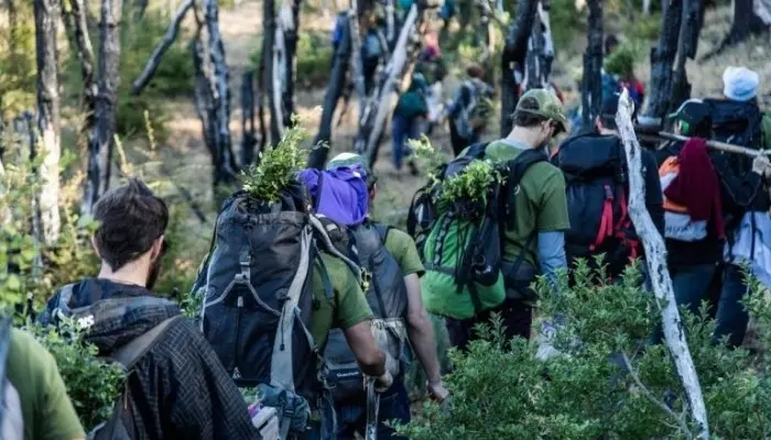 JÓVENES ARGENTINOS REFORESTAN UN BOSQUE INCENDIADO CON 11,500 ÁRBOLES