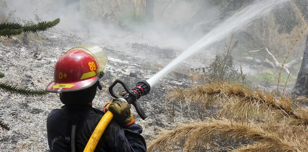 Neuquino se capacitó en Chile sobre protección contra incendios forestales