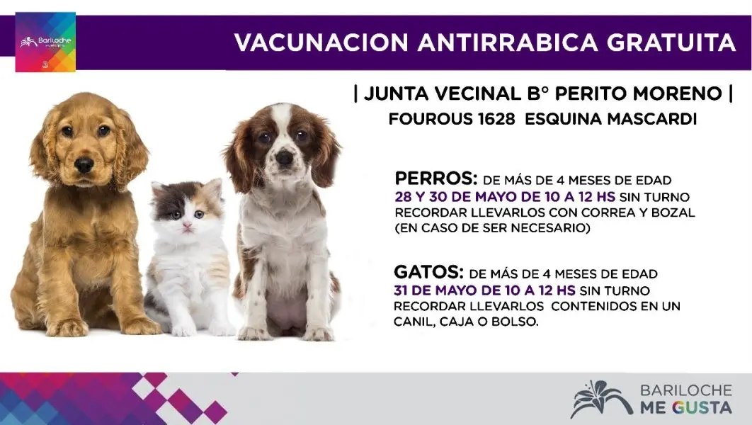Si sos del barrio Perito Moreno de Bariloche y tenes mascotas sumate a la campaña de esterilización y vacunación gratuita, la semana que viene