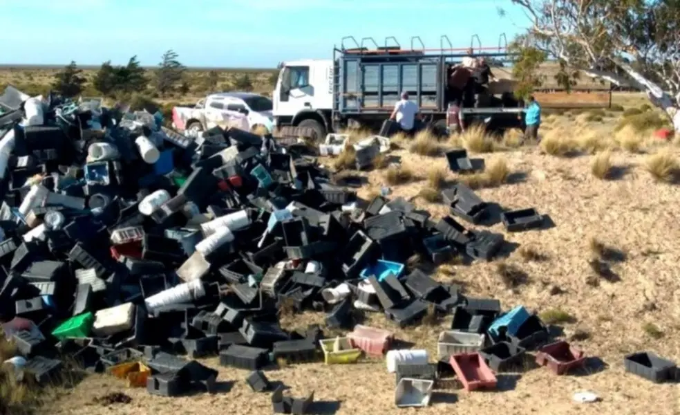 Turismo de Chubut denunciará a pesqueras: se juntaron más de 4 mil cajones en Península Valdés