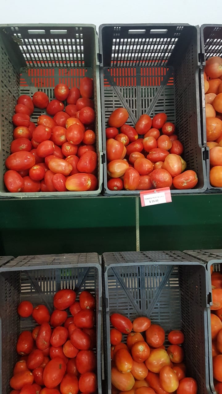 IMG-20190306-WA0024