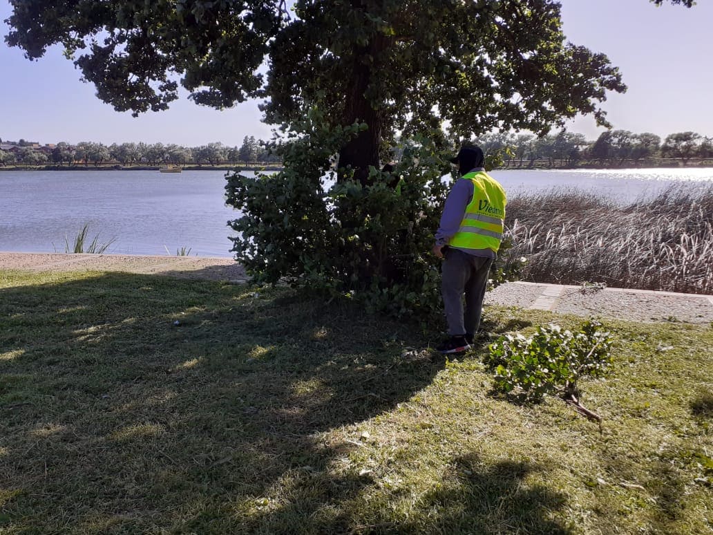 En una semana se retiraron 700 kilos de residuos en Viedma