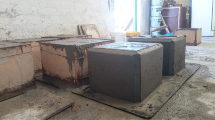 General Roca redobla su apuesta verde: las acciones ambientales que ya están cambiando la ciudad (y cómo podés sumarte hoy)