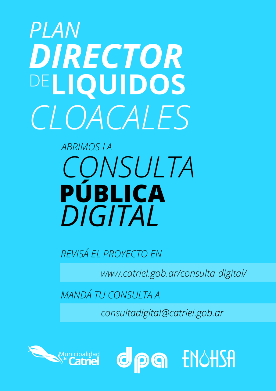 thumbnail_Consulta Publica Digital