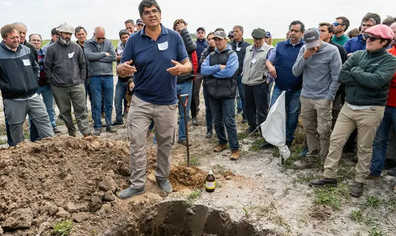 Preocupa la «gran magnitud» de suelos salinizados en el norte de La Pampa