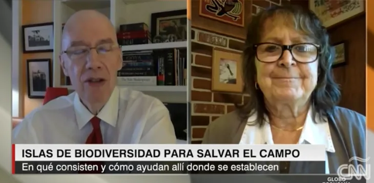 Proponen islas de biodiversidad para salvar al campo y preservar el medio ambiente