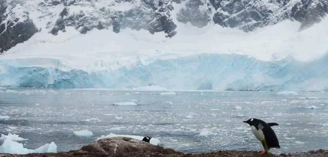 El deshielo allana el camino para especies invasoras en la Antártida