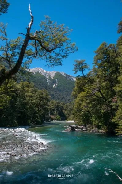 Comienza el cobro para ingresar al Parque Nacional “Los Alerces”