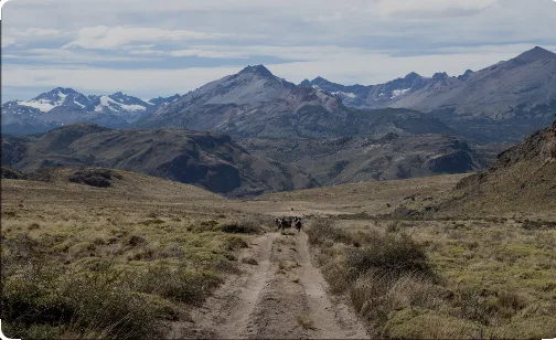 Chile planea restaurar un millón de hectáreas de paisajes naturales para el 2030