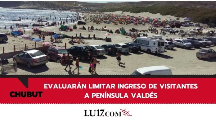 PENÍNSULA VALDÉS: EVALUARÁN LIMITAR EL INGRESO DE VISITANTES AL ÁREA PROTEGIDA