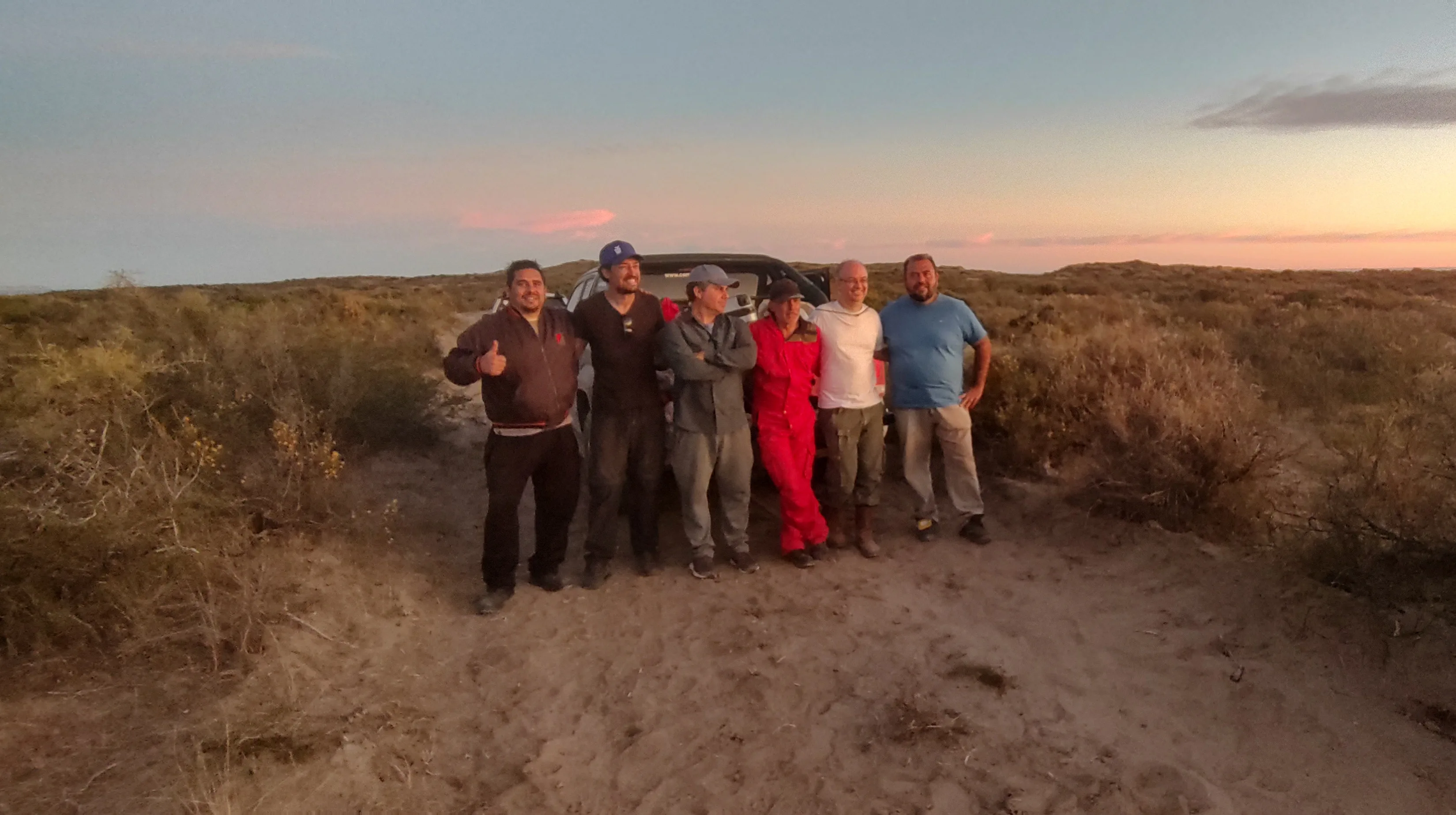 Hallan en Río Negro un perezoso gigante terrestre de 3.000.000 de años