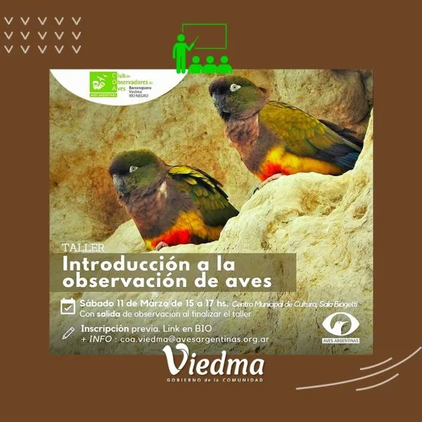Taller de Introducción a la Observación de Aves en el Centro Cultural