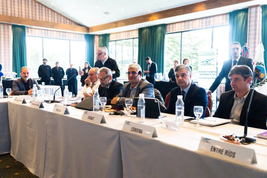En Tierra de Fuego se lleva adelante el Consejo Federal de la Energía Eléctrica