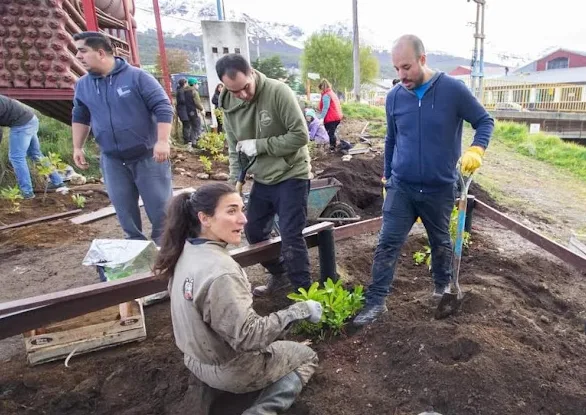 Ushuaia: Desarrollaron una exitosa jornada de plantación de árboles autóctonos