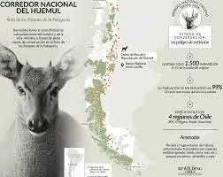 Gobierno y los Tompkins anuncian «corredor nacional del huemul»