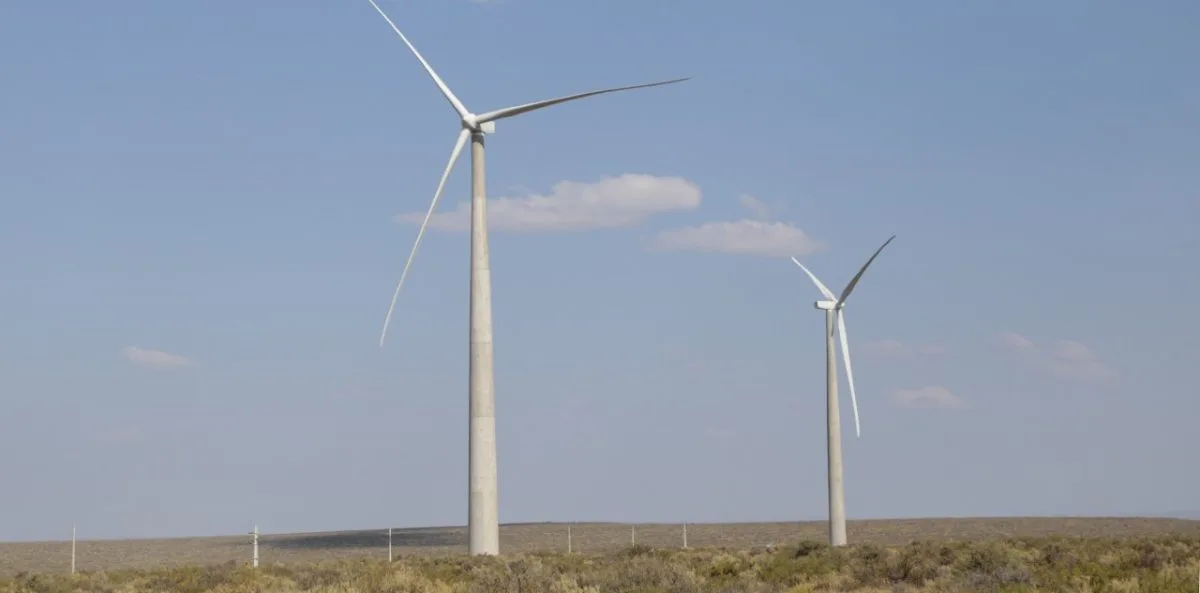 Neuquén se encamina a construir su primer parque eólico provincial