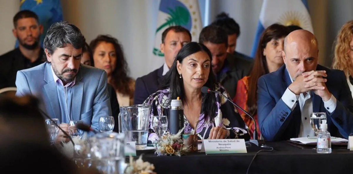 La Provincia de Neuquén es sede del Taller Regional de Formación «Clima, Medio Ambiente y Salud para las Américas