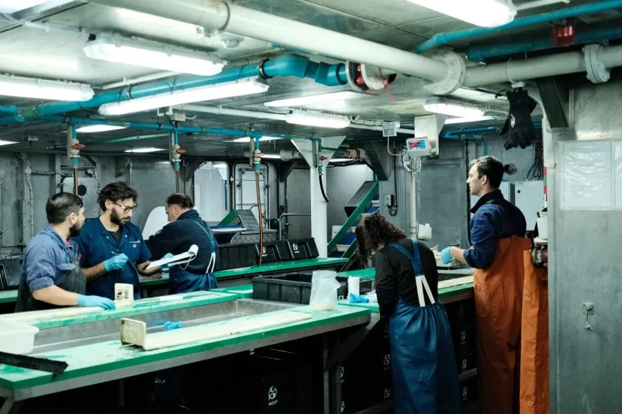 Concluyó la campaña de investigación pesquera en las Islas Georgias del Sur financiada por la Iniciativa Pampa Azul