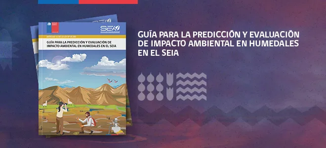SEA publica “Guía predicción y evaluación de impacto ambiental en humedales en el SEIA”