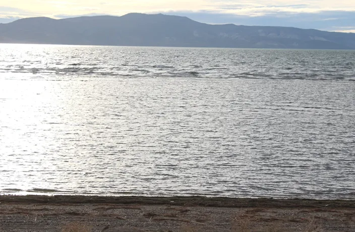 Muerte de cisnes en el lago Musters: Ambiente pedirá informes del agua
