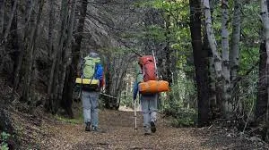 Patagonia: recomendaciones para visitar Parques Nacionales