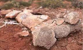 Neuquén: hallaron el fémur de un titanosaurio en la localidad de Añelo