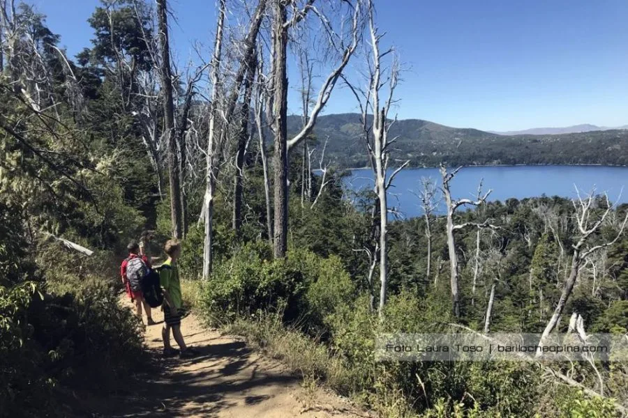Pyme argentina desarrolla proyectos forestales para mitigar el cambio climático