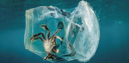 Legisladores rionegrinos impulsan  reducción de Plásticos de un solo uso