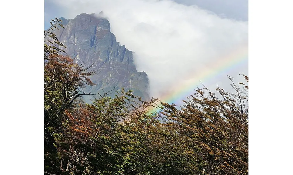 La Fundación Ambiente y Recursos Naturales propone renovar la agenda ambiental
