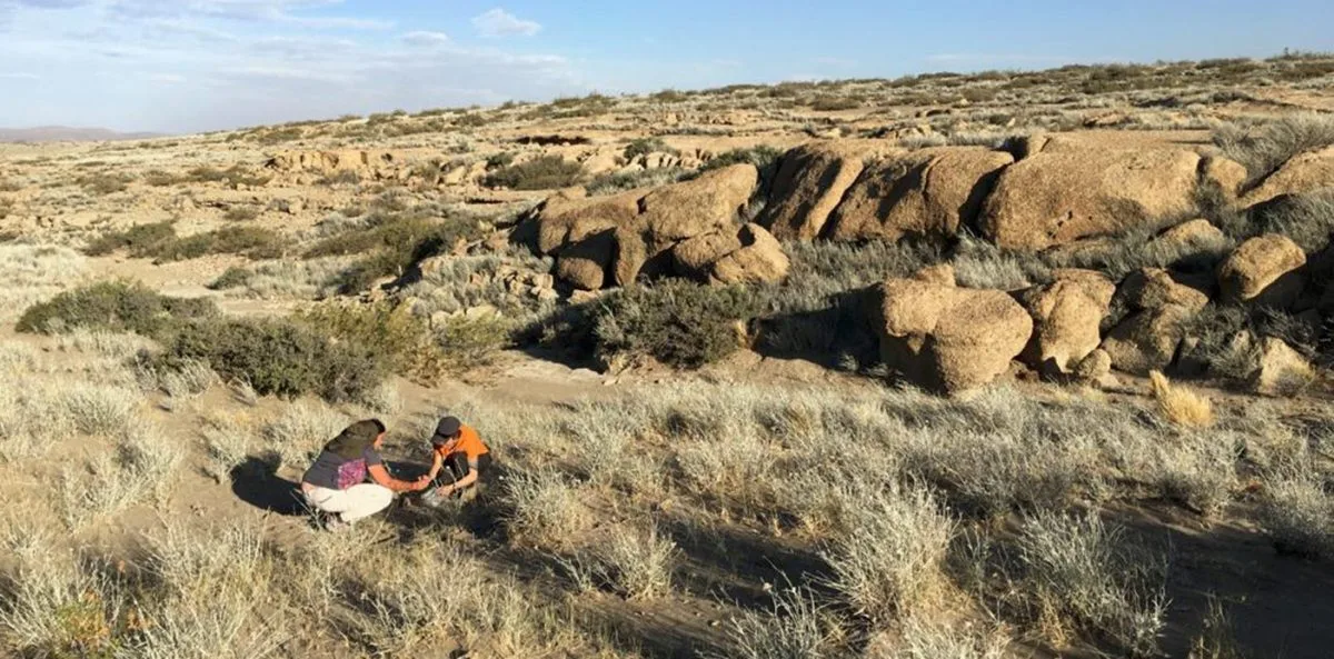 Utilizarán la piedra obsidiana en Neuquén para determinar la data de antiguas poblaciones