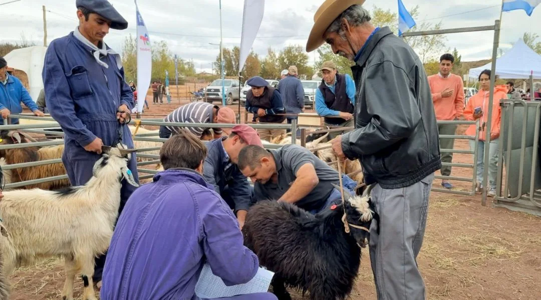 Capacitaron en Buenas prácticas de Manejo Ganadero y Cambio Climático