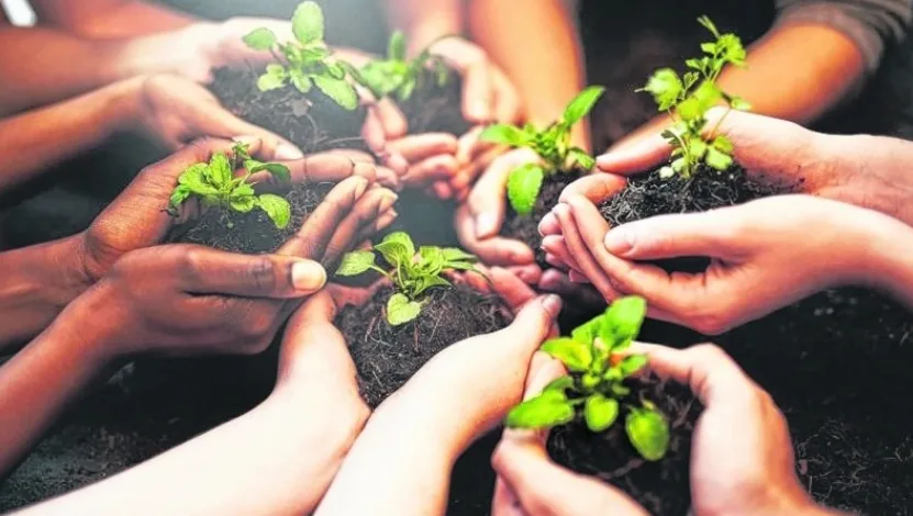 Se abrió la inscripción para la Capacitación en Educación Ambiental 