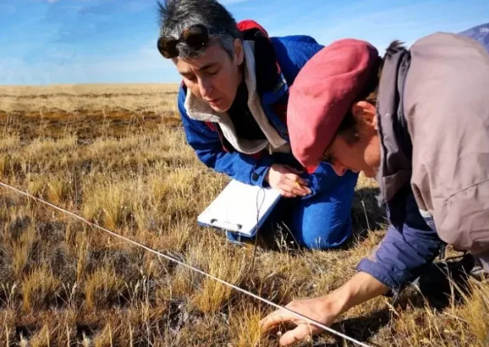 Productores cobran bonos por capturar el carbono