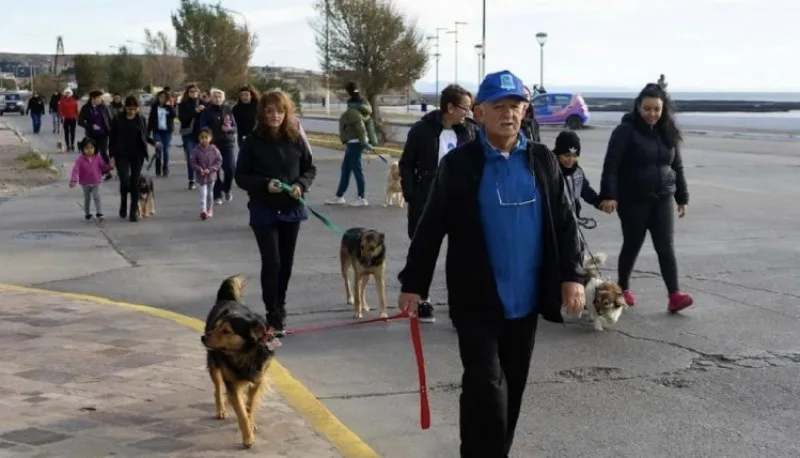 Caleta Olivia impulsó jornada recreativa para el disfrute de las mascotas