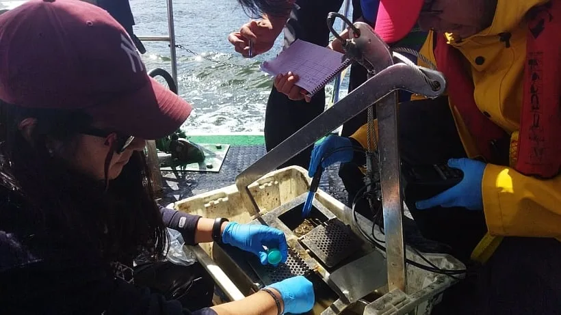 Estudio detectó una notoria baja de oxígeno en fiordos de la Patagonia