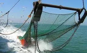 Argentina es el primer país en regular la pesca de arrastre