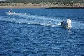 Finalizo con exito la limpieza de las islas Tova y Tovita