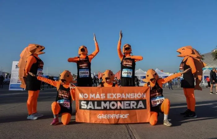 Activistas de Greenpeace corren simulando escape de salmones