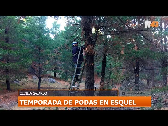 Ambiente: Comenzó la temporada de podas en Esquel