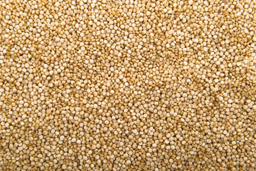 Seminario sobre la adaptación ambiental y recursos de la quinoa