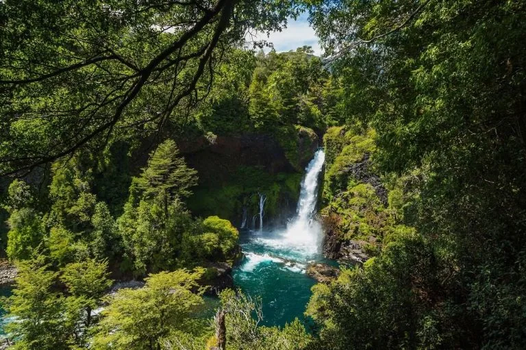 Reservas y parques para celebrar Día Mundial del Medio Ambiente en el sur de Chile