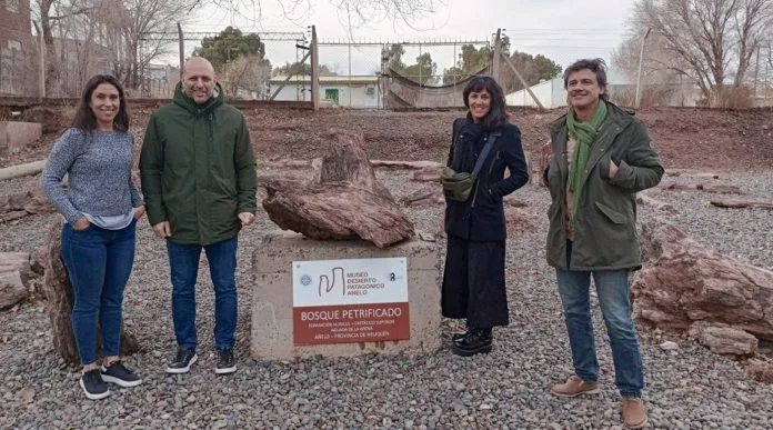 Paleontología y tecnología en el museo del Desierto Patagónico de Añelo