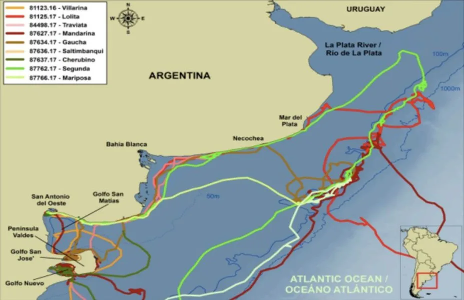 Diez claves sobre el oleoducto de YPF y el conflicto social y ambiental alrededor de la obra
