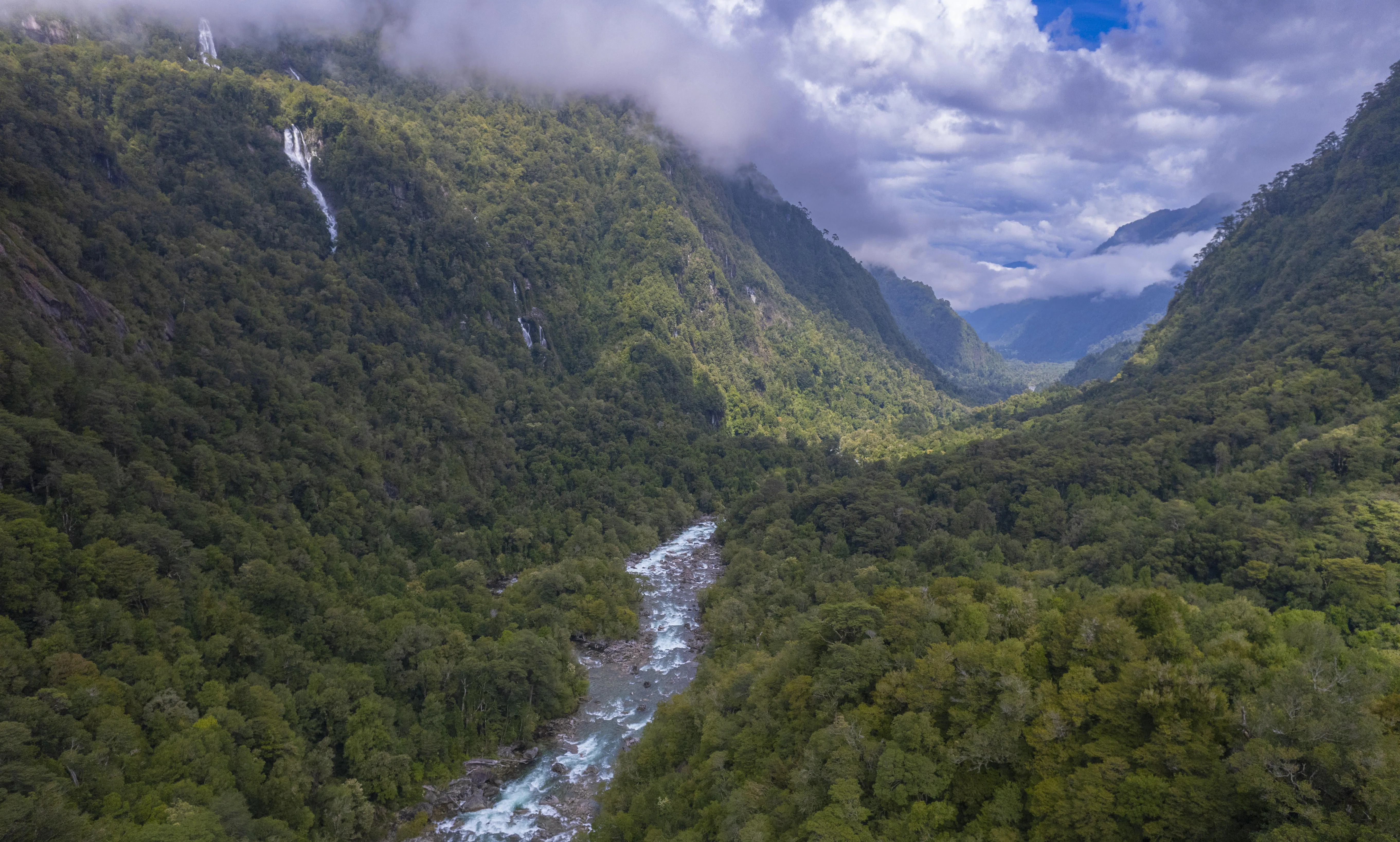 Gracias a Fundación Freyja 309 hectáreas de Bosque Nativo en el Valle Cochamó están protegidas