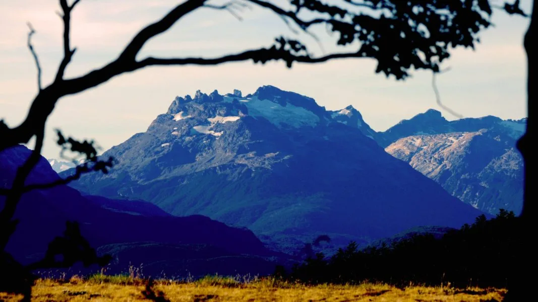 El Gobierno de Chubut convoca a la presentación de proyectos de la Ley de Bosques