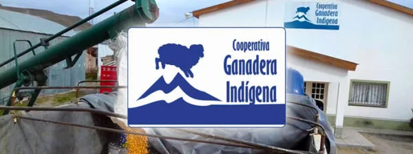50º Aniversario de la Cooperativa Ganadera Indígena Limitada