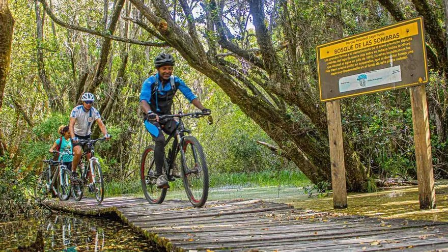 Parque Nacional Lago Puelo: el tesoro oculto de Chubut donde la selva valdiviana se encuentra con la Patagonia más salvaje
