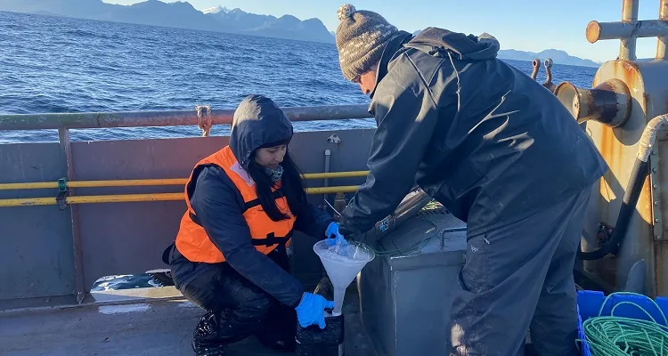 Universidad de los Lagos aporta investigación sobre disminución del oxígeno en los océanos