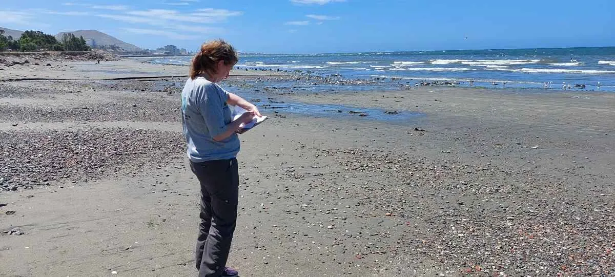 Ambiente de Chubut monitorea la calidad del agua y residuos en playas