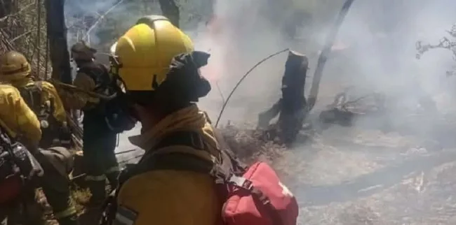 Llegan más brigadistas para combatir incendios en Los Alerces